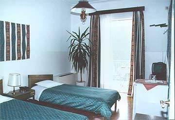 Vouzas Otel Delphi Oda fotoğraf
